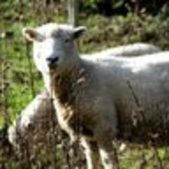 Meet your Posher, Alex - Picture 1 of 1